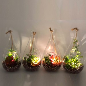 LED διακοσμητικά γυάλινα επιτραπέζια διακοσμητικά φυτά με το βάζο εμφάνισης σφαίρας